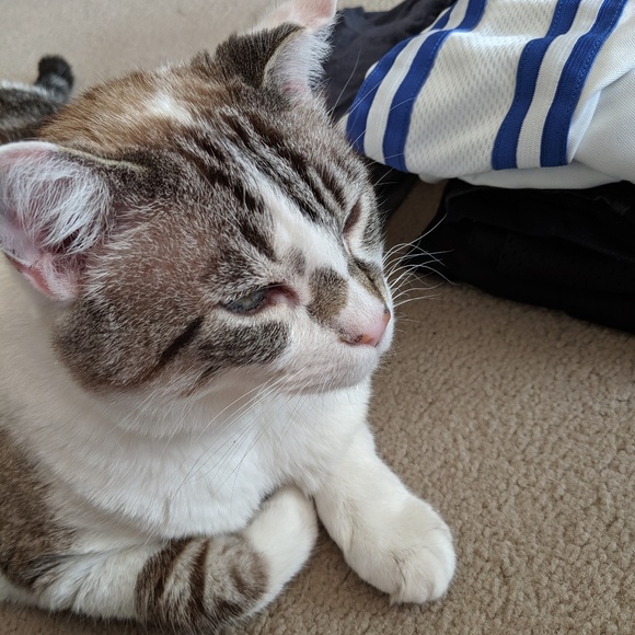 Meet Angie & Suki! - Picture 9 of 12